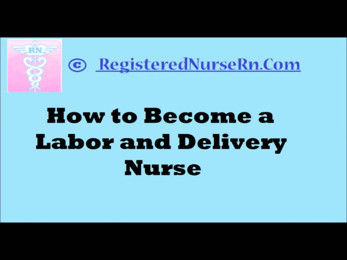 Labor and Delivery Nurse | OB Nurse and Maternity Nurse