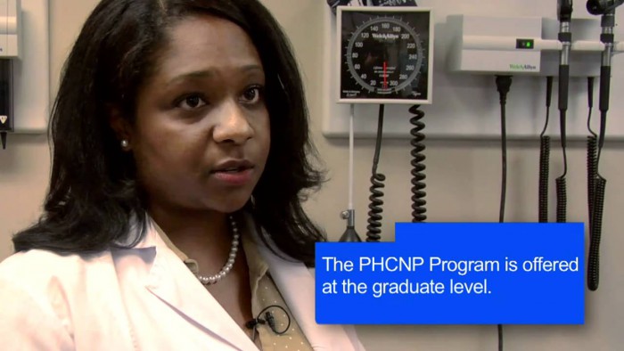 What is the PHCNP Program?